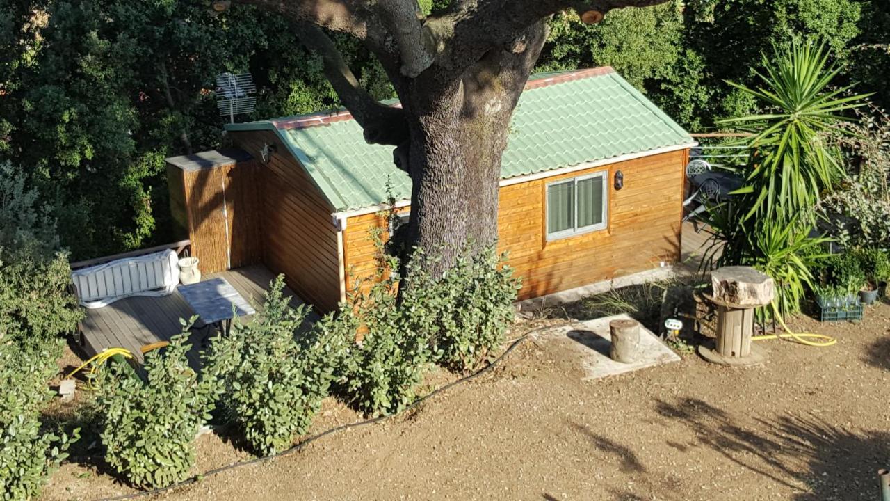Chalet Le Petit *